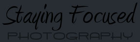 Staying Focused Logo