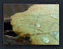 detailed photo