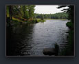 Algonquin Park Photo